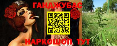 СК Краснодар