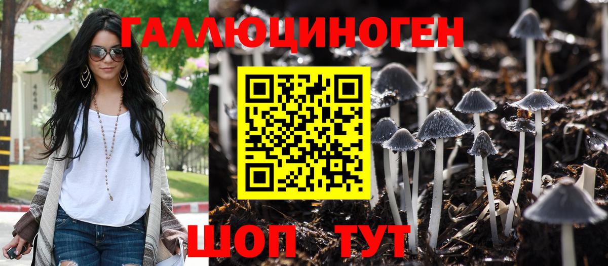 Заволжье  Галлюциногенные грибы мухоморы  Вход с VPN  Псилоцибиновые грибы ЛСД 