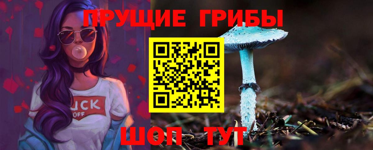 Псилоцибиновые грибы MAGIC MUSHROOMS Заволжье